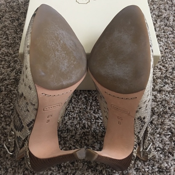 Coach ALMA Python Slingback Heels - Picture 5 of 7